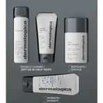 Набір для обличчя Dermalogica Discover Healthy Skin Kit Здоров'я Вашої шкіри: ціни та характеристики