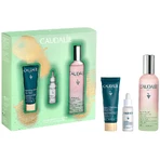 Набір Caudalie Beauty Elixir Set еліксир-вода для обличчя 100 мл + сироватка для обличчя 10 мл + маска-детокс 15 мл: ціни та характеристики