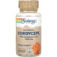 Гриб кордицепс Solaray Cordyceps Mushroom Extract 1000 мг капсулы флакон 60 шт.