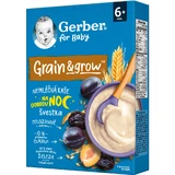 Каша безмолочна дитяча Nestle Gerber Вівсяно-пшенична з чорносливом з 6-ти місяців 200 г