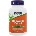 Босвелия Now Foods Boswellia 250 мг экстракт, 120 капсул: цены и характеристики