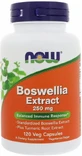 Босвелія Now Foods Boswellia 250 мг екстракт, 120 капсул