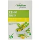Сени листя Solution Pharm пачка, 80 г 