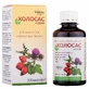 Фитосироп Холосас Новый Solution Pharm для нормализации функционирования печени флакон, 200 мл