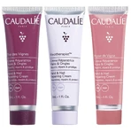 Набір Caudalie Тріо Xmas 2024 Крем для рук 3 шт: ціни та характеристики