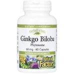 Гінкго Білоба, фітосоми, 60 мг, Ginkgo Biloba, Phytosome, Natural Factors, 60 капсул: ціни та характеристики