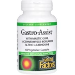 Здоров'я шлунка та кишечника, Gastro-Assist with Mastic Gum, Saccharomyces Boulardii & Zinc L-Carnosine, Natural Factors, 60 вегетаріанських капсул: ціни та характеристики