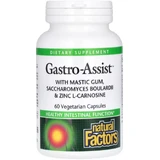 Здоровье желудка и кишечника, Gastro-Assist with Mastic Gum, Saccharomyces Boulardii & Zinc L-Carnosine, Natural Factors, 60 вегетарианских капсул