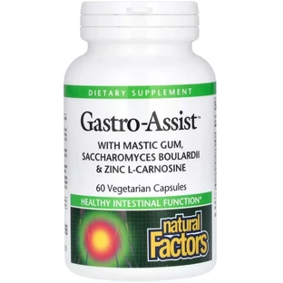 Здоров'я шлунка та кишечника, Gastro-Assist with Mastic Gum, Saccharomyces Boulardii & Zinc L-Carnosine, Natural Factors, 60 вегетаріанських капсул