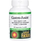Здоров'я шлунка та кишечника, Gastro-Assist with Mastic Gum, Saccharomyces Boulardii & Zinc L-Carnosine, Natural Factors, 60 вегетаріанських капсул