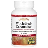 Куркумин для оптимизации здоровья всего тела, CurcuminRich, Whole Body Curcumizer, Natural Factors, 60 желатиновых капсул