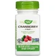 Журавлина, 930 мг, Cranberry Fruit, Nature's Way, 100 вегетаріанських капсул