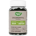 Хлорофилл, 100 мг, вкус фруктов, Chlorophyll Gummies, Nature's Way, 40 жевательных конфет: цены и характеристики
