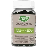 Хлорофіл, 100 мг, смак фруктів, Chlorophyll Gummies, Nature's Way, 40 жувальних цукерок