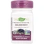 Чорниця, преміум екстракт, Bilberry, Premium Extract, Nature's Way, 60 вегетаріанських капсул