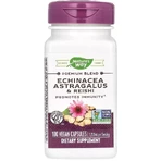 Ехінацея, астрагал та рейші, 1200 мг, Echinacea Astragalus&Reishi, Nature's Way, 100 вегетаріанських капсул: ціни та характеристики