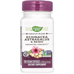 Ехінацея, астрагал та рейші, 1200 мг, Echinacea Astragalus&Reishi, Nature's Way, 100 вегетаріанських капсул