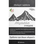 Мумие натуральное очищенное Solution Pharm таблетки №60: цены и характеристики