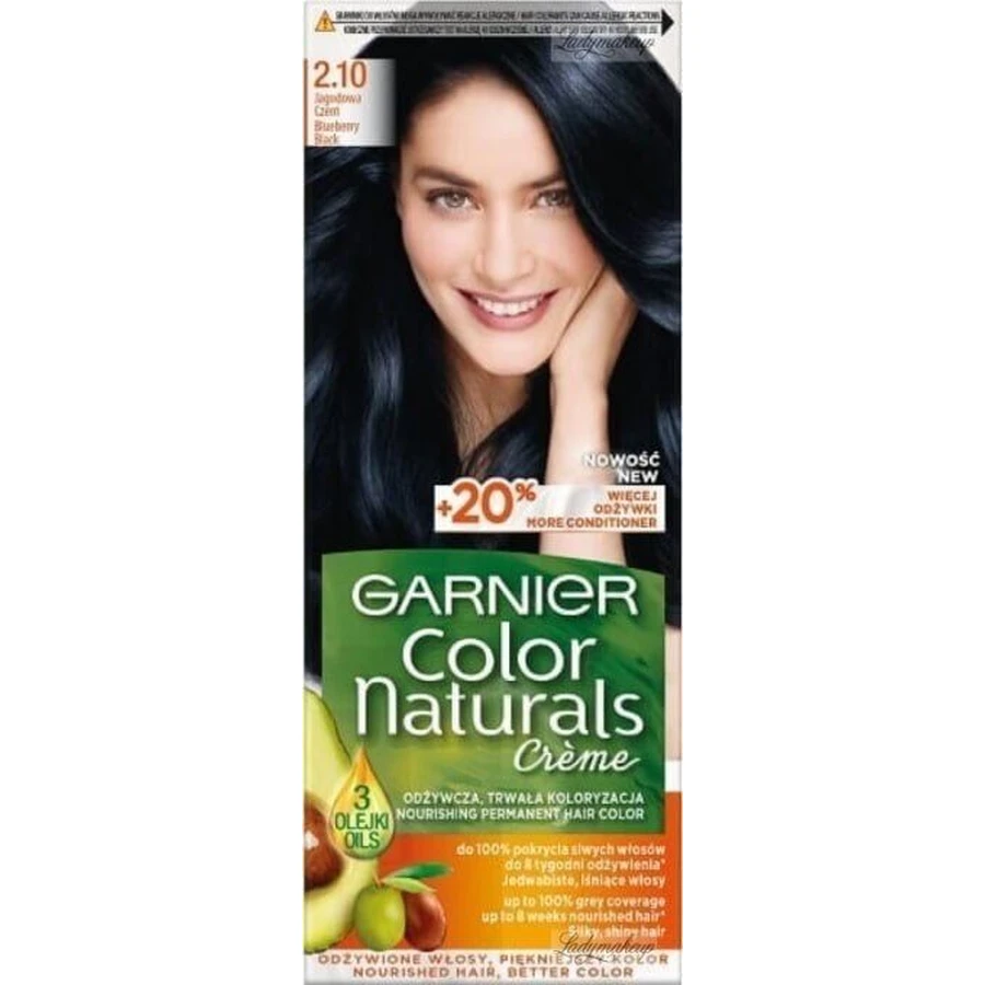 Garnier Color Naturals стійка фарба для волосся 2.10 Синьо-чорна 1×1, колір волосся: ціни та характеристики