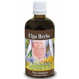 Ulgo Herbs пищеварение и перистальтика 100 мл Inwent Herbs