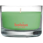 Ароматична свічка Bolsius Aromatic 2.0 Glass Green Tea 1×1 шт, розмір 80 х 50 мм: ціни та характеристики