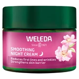 Weleda, Увлажняющий ночной крем с шиповником и белым чаем, 40 мл