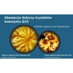 Pharma Nord Bio-Quinon Active Q10 Gold 30 мг, 30 капсул: цены и характеристики