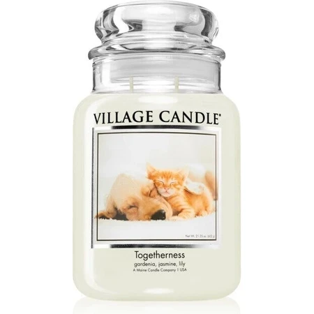Village Candle Ароматична свічка у склі - Єдність - Згуртованість, велика 1×1 шт: ціни та характеристики
