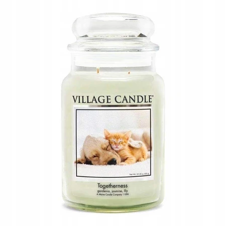 Village Candle Ароматична свічка у склі - Єдність - Згуртованість, велика 1×1 шт: ціни та характеристики