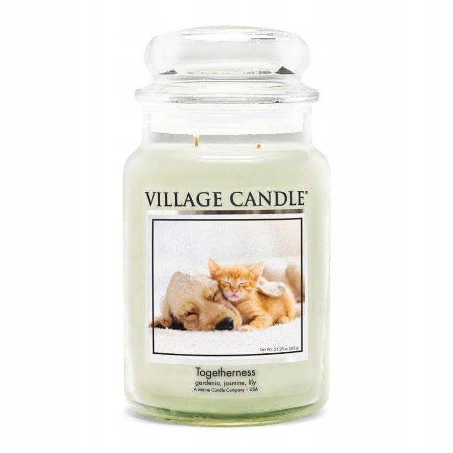 Village Candle Ароматична свічка у склі - Єдність - Згуртованість, велика 1×1 шт: ціни та характеристики