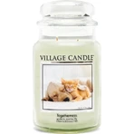 Village Candle Ароматична свічка у склі - Єдність - Згуртованість, велика 1×1 шт: ціни та характеристики