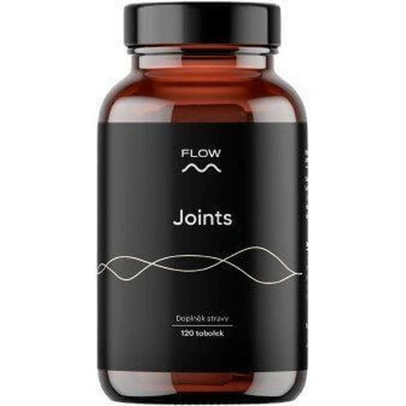 Flow Joints 2.0 120 капсул: цены и характеристики
