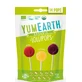 Фруктовые леденцы kwane 14 штук в упаковке YumEarth