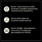 Nami Magical Mumio, Восковая маска Minera, на основе молочной сыворотки, с мумиё и аргановым маслом, 200 мл: цены и характеристики