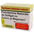 Натуральные поливитамины с кальцием и магнием, 40 капсул, Hofigal