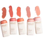 Attitude Oceanly Solid Cream Blush - Happy Berry 8,5 г: цены и характеристики