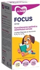 Сироп Alinan Focus для оптимального функционирования нервной системы детей, 150 мл