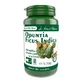 Opuntia Ficus Indica Pro Natura, 60 капсул,