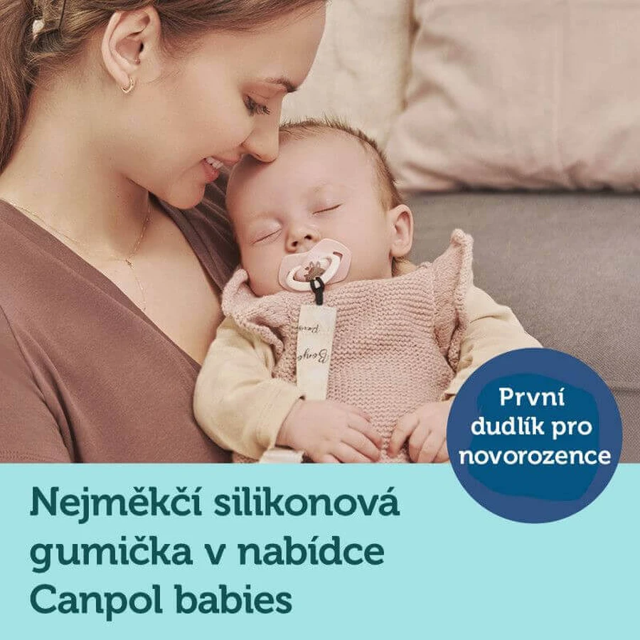 Canpol babies Набір симетричних силіконових пустушок BONJOUR PARIS 0-6м 2 шт: ціни та характеристики