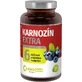 CarnoMed Карнозин Экстра 120 капсул