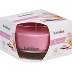 Bolsius Aromatic 2.0 Glass 90x63mm Magnolia, ароматическая свеча 1×1 шт, ароматическая свеча: цены и характеристики