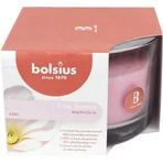 Bolsius Aromatic 2.0 Glass 90x63mm Magnolia, ароматическая свеча 1×1 шт, ароматическая свеча: цены и характеристики