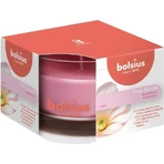 Bolsius Aromatic 2.0 Glass 90x63mm Magnolia, ароматическая свеча 1×1 шт, ароматическая свеча: цены и характеристики
