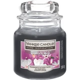 Yankee Candle Ароматическая свеча "Полуночная магнолия", 104 г