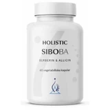 Holistic SIBOBA кишечник SIBO 60 капсул