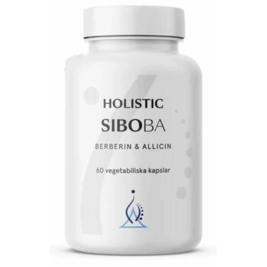 Holistic SIBOBA кишечник SIBO 60 капсул: цены и характеристики