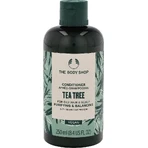 The Body Shop Кондиціонер для жирного волосся Чайне дерево 1×250 мл, кондиціонер: ціни та характеристики