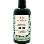 The Body Shop Кондиціонер для жирного волосся Чайне дерево 1×250 мл, кондиціонер: ціни та характеристики