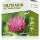 SILYMARIN 1×60 tbl, силімарин