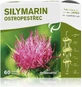 SILYMARIN 1×60 tbl, силімарин